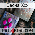Весна Ххх 38